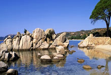 包含阿尔梅里亚迎宾战西班牙人，全力赢球的词条